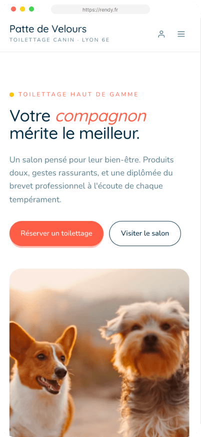 Site Rendy personnalisé — Patte de Velours, Toilettage à Lyon 6ᵉ